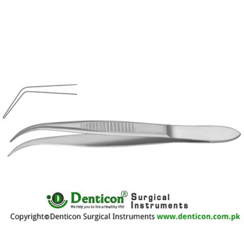 Splinter Forcep Angled - Smooth Jaws Stainless Steel, 10 cm - 4"